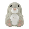 Nebubunny-momini_2.jpeg
