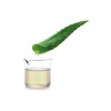 Slide-BDC--Aloe-2.jpg